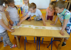 Dzieci układają historyjkę rozwoju żaby.